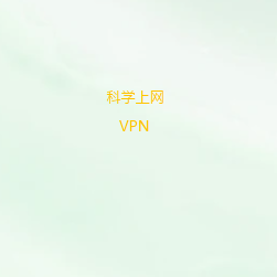外网梯子