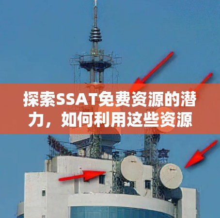 探索SSAT免费资源的潜力，如何利用这些资源最大化学习效果