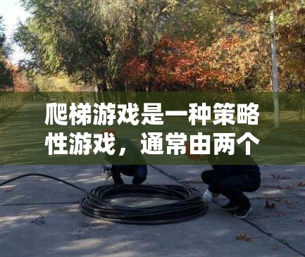 爬梯游戏是一种策略性游戏，通常由两个人轮流移动，沿着梯子向上或向下移动，以达到终点并获得胜利。以下是一个详细的分析和策略指南