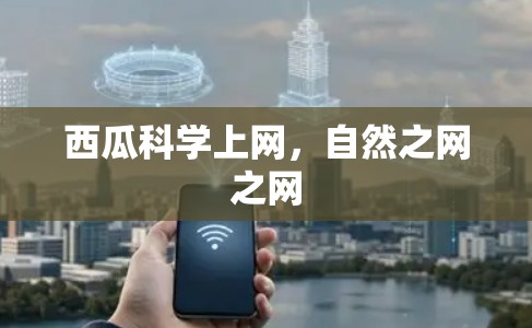 西瓜科学上网，自然之网之网