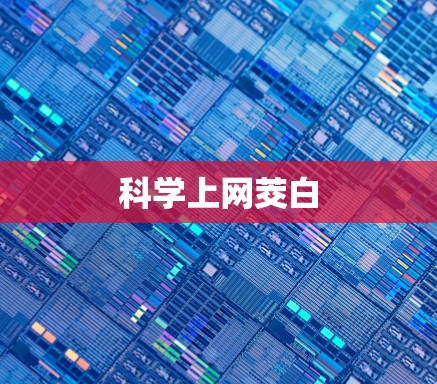 科学上网茭白