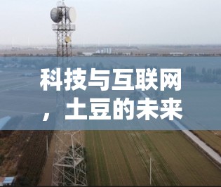 科技与互联网，土豆的未来
