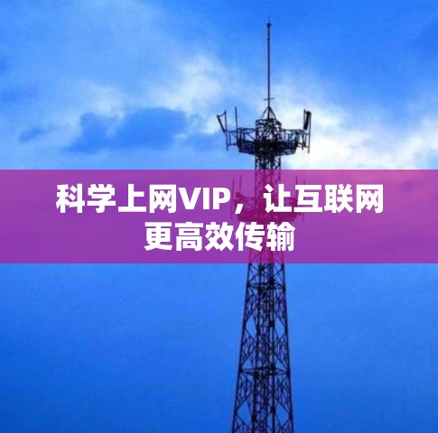 科学上网VIP，让互联网更高效传输