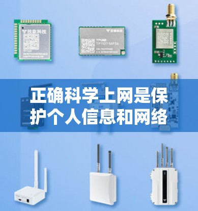 正确科学上网是保护个人信息和网络安全的关键。以下是一步步的建议