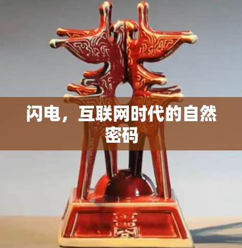 闪电，互联网时代的自然密码