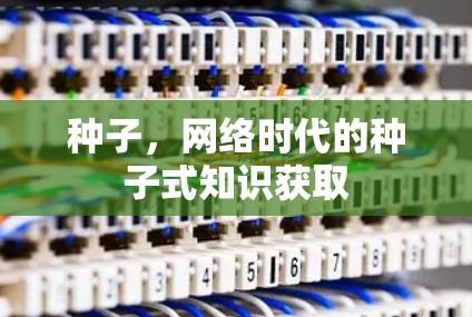 种子，网络时代的种子式知识获取