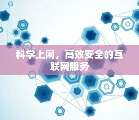 科学上网，高效安全的互联网服务