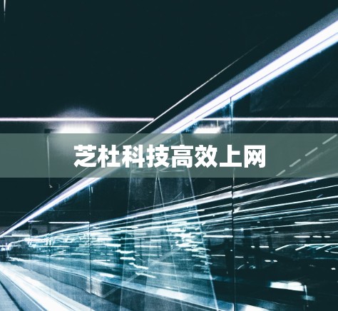 芝杜科技高效上网