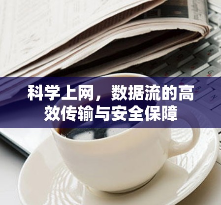 科学上网，数据流的高效传输与安全保障