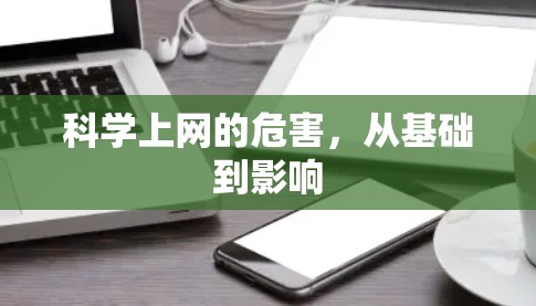 科学上网的危害，从基础到影响