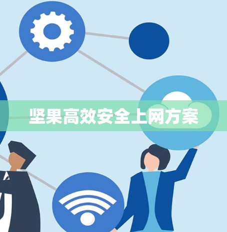 坚果高效安全上网方案