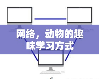 网络，动物的趣味学习方式