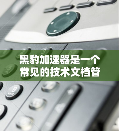 黑豹加速器是一个常见的技术文档管理工具，主要用于加速文档的发布和编辑过程。如果您需要使用黑豹加速器在海外服务器上运行，可以考虑以下几种解决方案