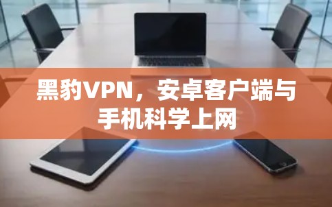 黑豹VPN，安卓客户端与手机科学上网