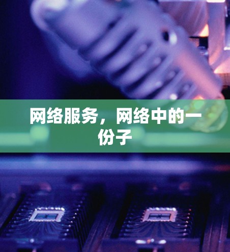 网络服务，网络中的一份子