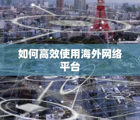 如何高效使用海外网络平台