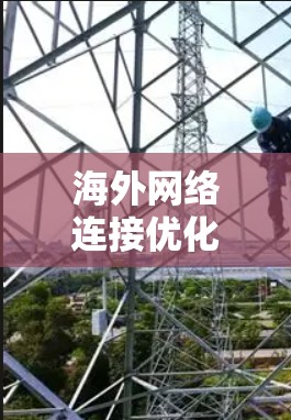 海外网络连接优化工具推荐，提升网络效率，保障数据安全