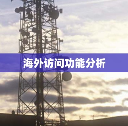 海外访问功能分析