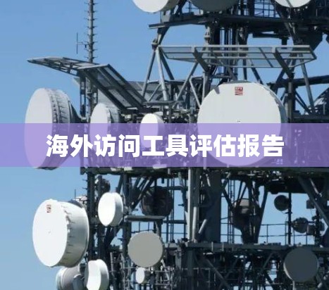 海外访问工具评估报告