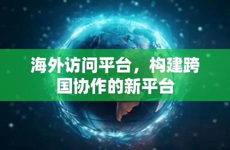 海外访问平台，构建跨国协作的新平台