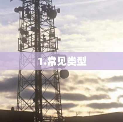 1.常见类型