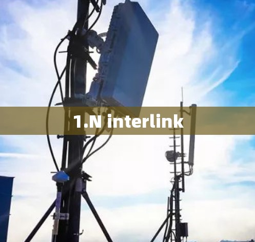 1.N interlink