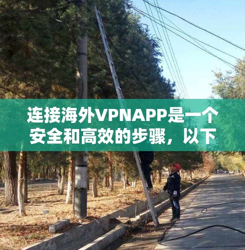 连接海外VPNAPP是一个安全和高效的步骤，以下是一步步的指南