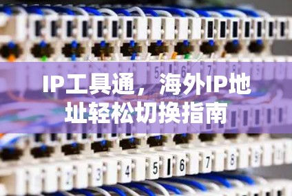 IP工具通，海外IP地址轻松切换指南