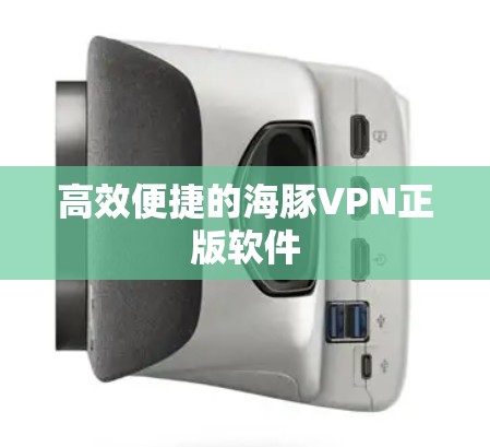 高效便捷的海豚VPN正版软件