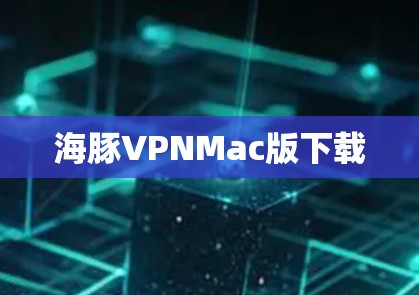 海豚VPNMac版下载