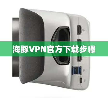 海豚VPN官方下载步骤