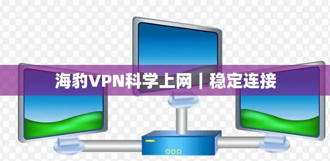 海豹VPN科学上网｜稳定连接