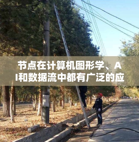 节点在计算机图形学、AI和数据流中都有广泛的应用，具体含义如下