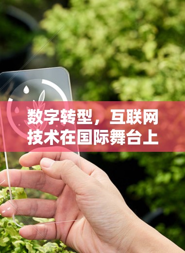数字转型，互联网技术在国际舞台上的新机遇