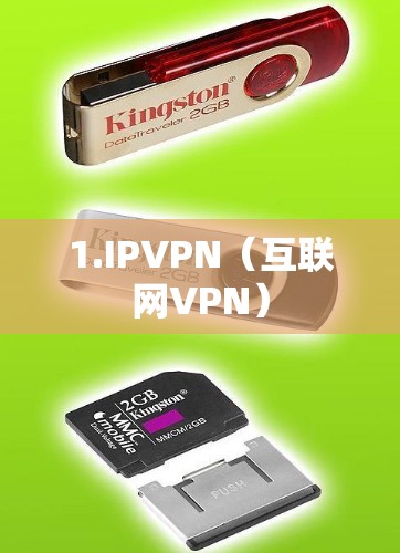 1.IPVPN（互联网VPN）