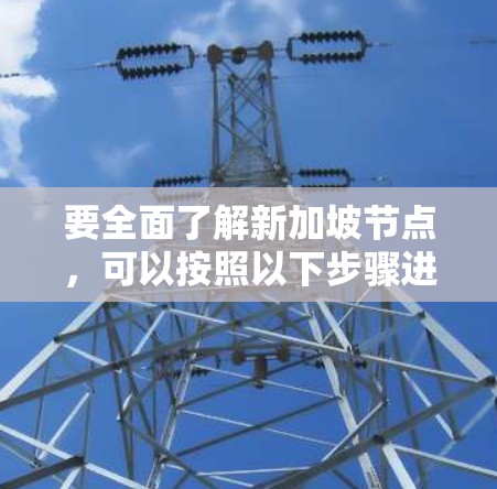 要全面了解新加坡节点，可以按照以下步骤进行