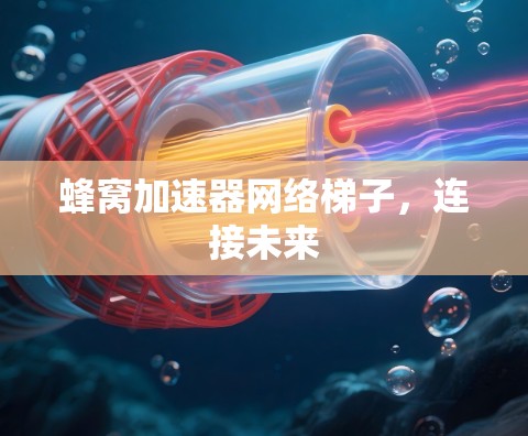 蜂窝加速器网络梯子，连接未来