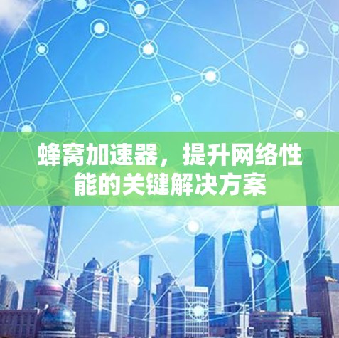 蜂窝加速器，提升网络性能的关键解决方案