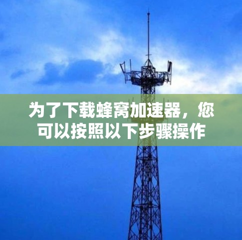 为了下载蜂窝加速器，您可以按照以下步骤操作