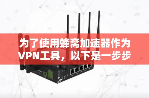 为了使用蜂窝加速器作为VPN工具，以下是一步步的指南