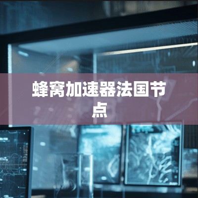 蜂窝加速器法国节点