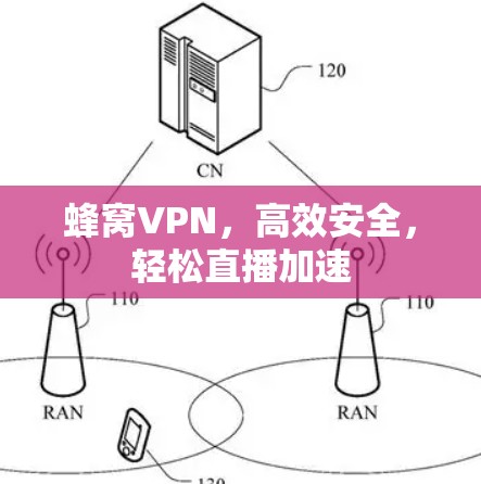 蜂窝VPN，高效安全，轻松直播加速
