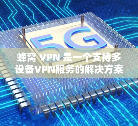 蜂窝 VPN 是一个支持多设备VPN服务的解决方案，通过网络梯子连接多个设备，提供加密传输、访问控制和数据加密等安全措施。以下是对蜂窝 VPN 的详细分析