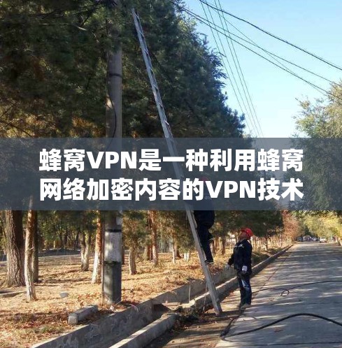 蜂窝VPN是一种利用蜂窝网络加密内容的VPN技术，具有独特的结构和加密方式。以下是详细的步骤和信息，帮助你更好地理解并使用蜂窝VPN