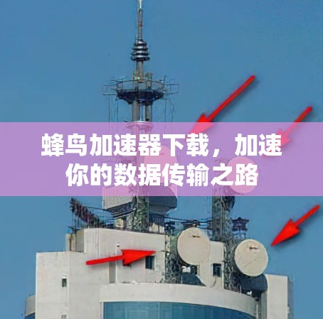蜂鸟加速器下载，加速你的数据传输之路