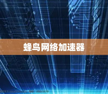 蜂鸟网络加速器