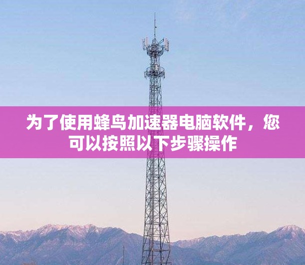 为了使用蜂鸟加速器电脑软件，您可以按照以下步骤操作