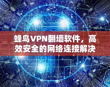 蜂鸟VPN翻墙软件，高效安全的网络连接解决方案