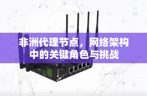 非洲代理节点，网络架构中的关键角色与挑战