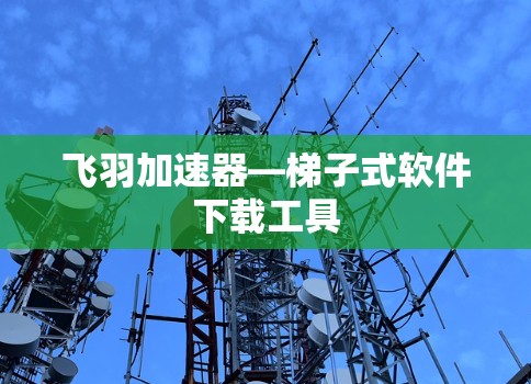 飞羽加速器—梯子式软件下载工具